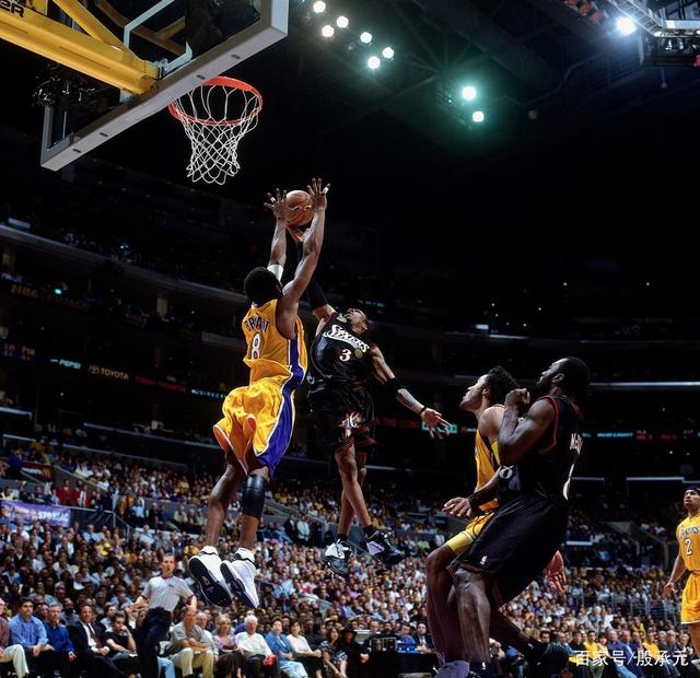 当地的生态 当地的生态